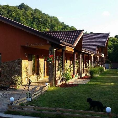 Pensiunea Raiul Muntilor Sebis Bagian luar foto